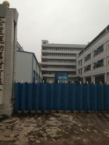 东莞市农村社区集体资产管理网在合翌厂资产管理中的实践与应用